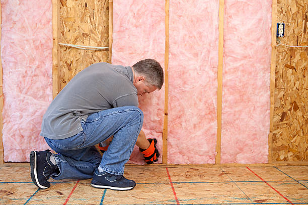 Best Insulation for Specific Applications in Canastota, NY