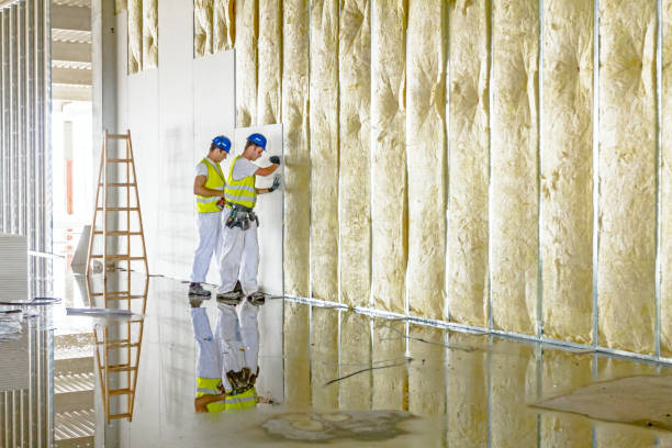 Best Insulation Maintenance and Repair in Canastota, NY